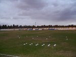 Seh Sports Ground