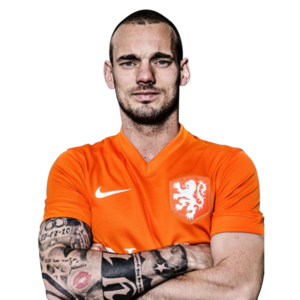 Wesley Sneijder (NED)