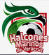 Halcones Marinos de Veracruz