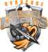 Syracuse Silver Knights