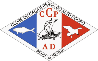 CCPAD S13