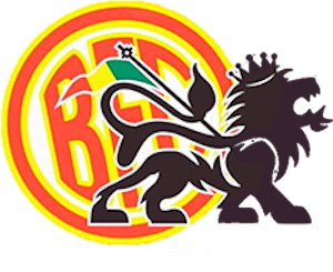 Brothers FC